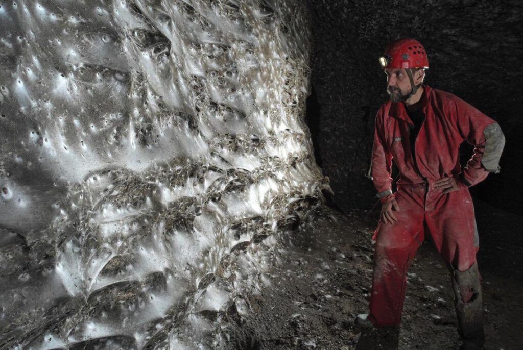 крупнейшая паутина в мире крупнейшая паутина в мире