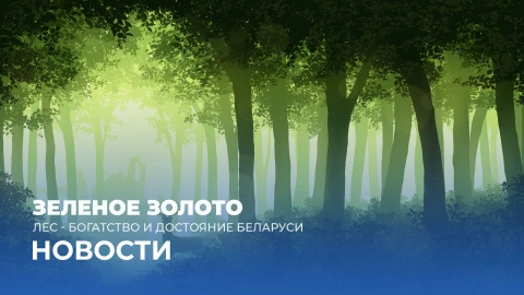 Новости 07:00 Новости 07:00