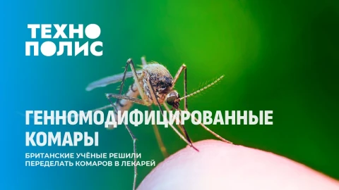 Технополис | Прививка от комара | Красота спасет мир | Антирейтинг автомобилей Технополис | Прививка от комара | Красота спасет мир | Антирейтинг автомобилей