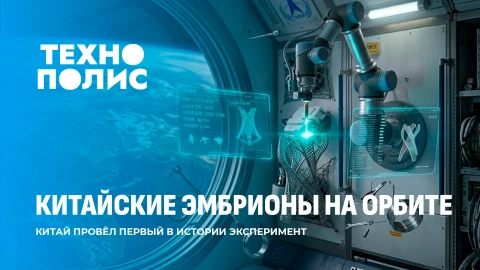 Технополис | Китайские эмбрионы на орбите | Государство под управлением ИИ Технополис | Китайские эмбрионы на орбите | Государство под управлением ИИ