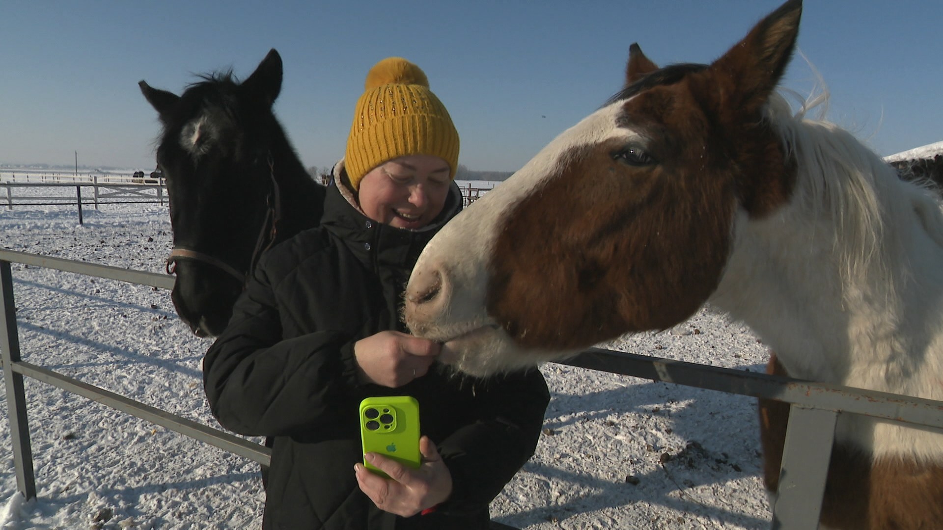 Анастасия Чернявская