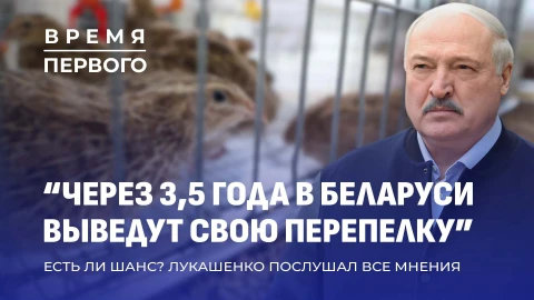 Чем кормят в кафе во Дворце Независимости? | Что подарили Президенту на птицефабрике? Чем кормят в кафе во Дворце Независимости? | Что подарили Президенту на птицефабрике?