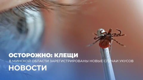 Новости 13:00 Новости 13:00
