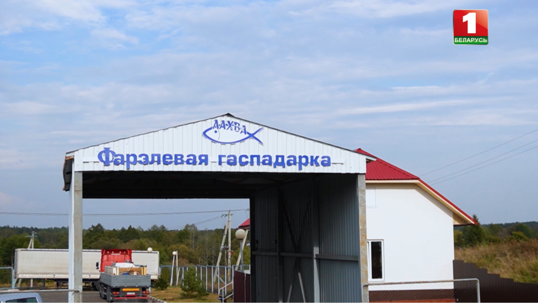 Как проходит социально-экономическое развитие территорий Беларуси пострадавших от взрыва на ЧАЭС На контроле Президента