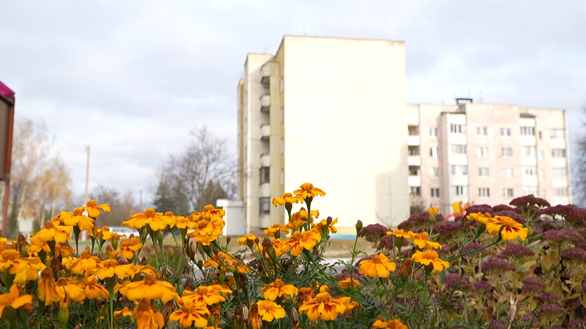 Агрогородок Криничный