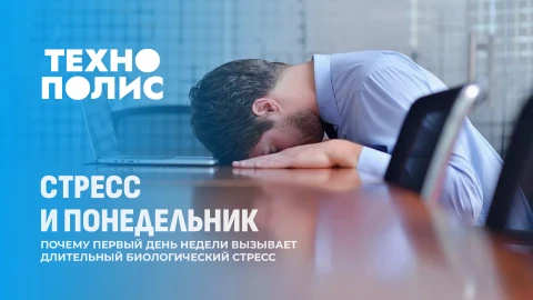 Технополис | Стресс из-за понедельника | Опасность переработанного пластика | Синдром апноэ Технополис | Стресс из-за понедельника | Опасность переработанного пластика | Синдром апноэ