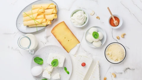 Сфера интересов | В самом разгаре юбилейная "Белагро" - главная выставка белорусского АПК Сфера интересов | В самом разгаре юбилейная "Белагро" - главная выставка белорусского АПК