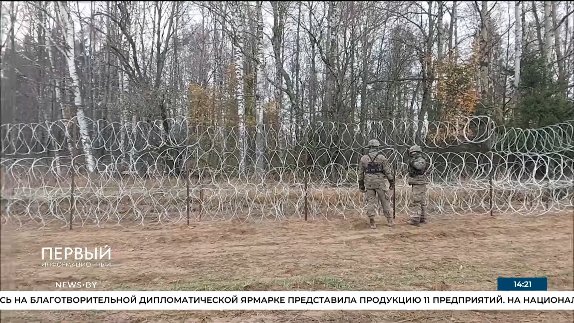 Колючая проволока Изображение