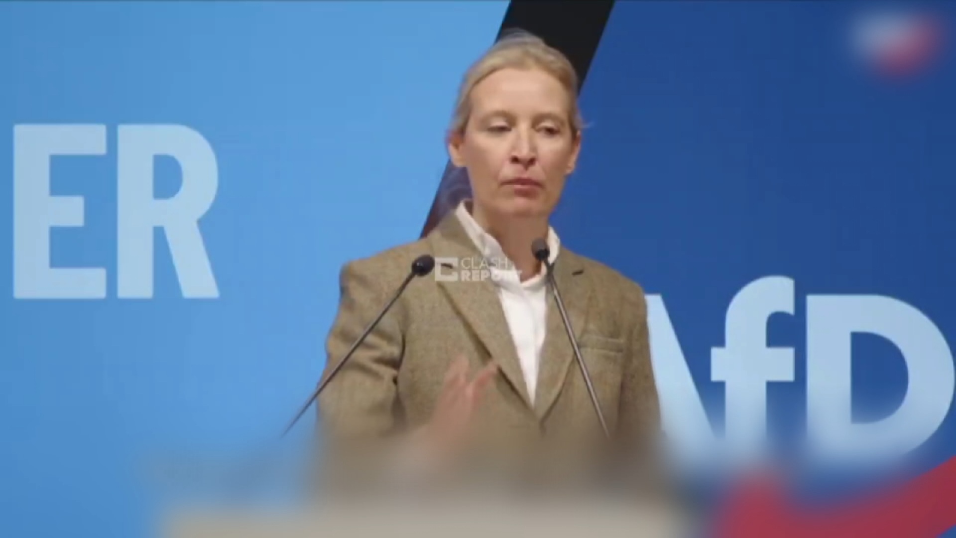 Алис Вайдель, лидер партии "Альтернатива для Германии"
