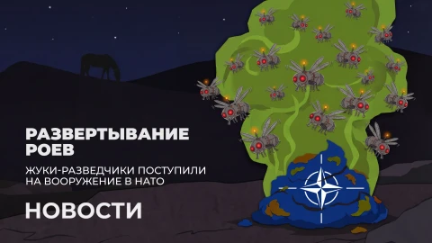 Новости 15:00 Новости 15:00