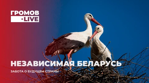 Громов Live | Независимая Беларусь: социальный потенциал, развитие медицины, эксплуатация жилья Громов Live | Независимая Беларусь: социальный потенциал, развитие медицины, эксплуатация жилья