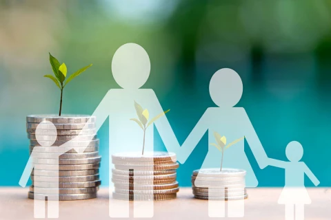 Сфера интересов | Семейный капитал семья