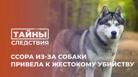 Тайны следствия | Убийство в Новолукомле: как ссора из-за собаки обернулась трагедией? Тайны следствия | Убийство в Новолукомле: как ссора из-за собаки обернулась трагедией?
