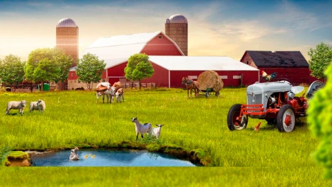 Сфера интересов | Обновление законодательства для крестьянско-фермерских хозяйств крестьянско-фермерское хозяйство