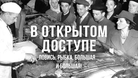 В открытом доступе | Ловись, рыбка большая... и большая! В открытом доступе | Ловись, рыбка большая... и большая!