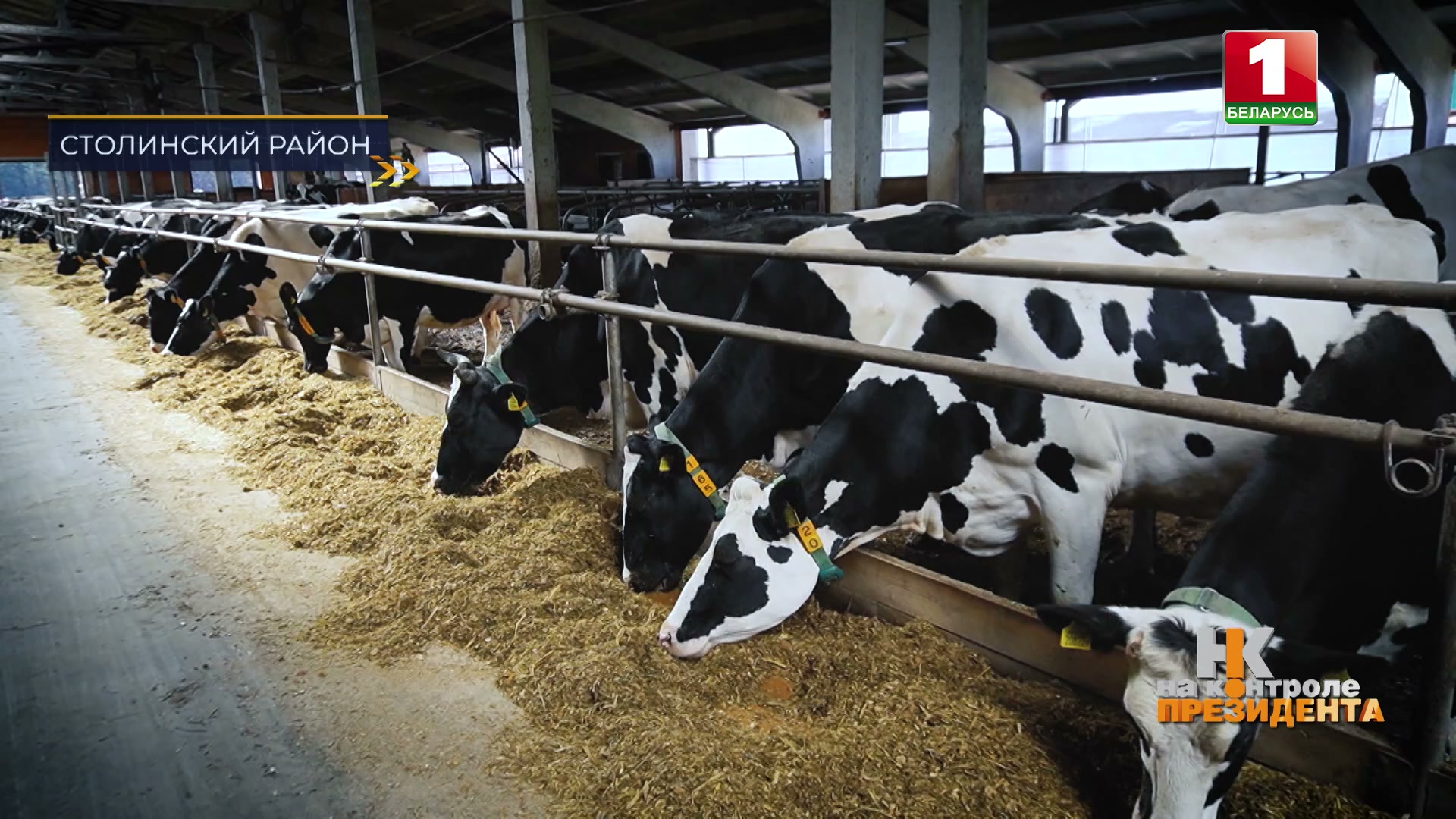 МТК "Сахалин" в Столинском районе
