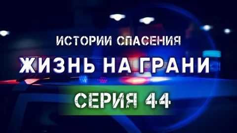 Истории спасения | 29.03.2025 Истории спасения | 29.03.2025