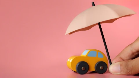 Сфера интересов | Единая система обязательного страхования пользуется спросом Сфера интересов | Единая система обязательного страхования пользуется спросом