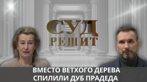 Суд решит | Спиленная память. Дуб прадеда как цена перепланировки участка Суд решит | Спиленная память. Дуб прадеда как цена перепланировки участка