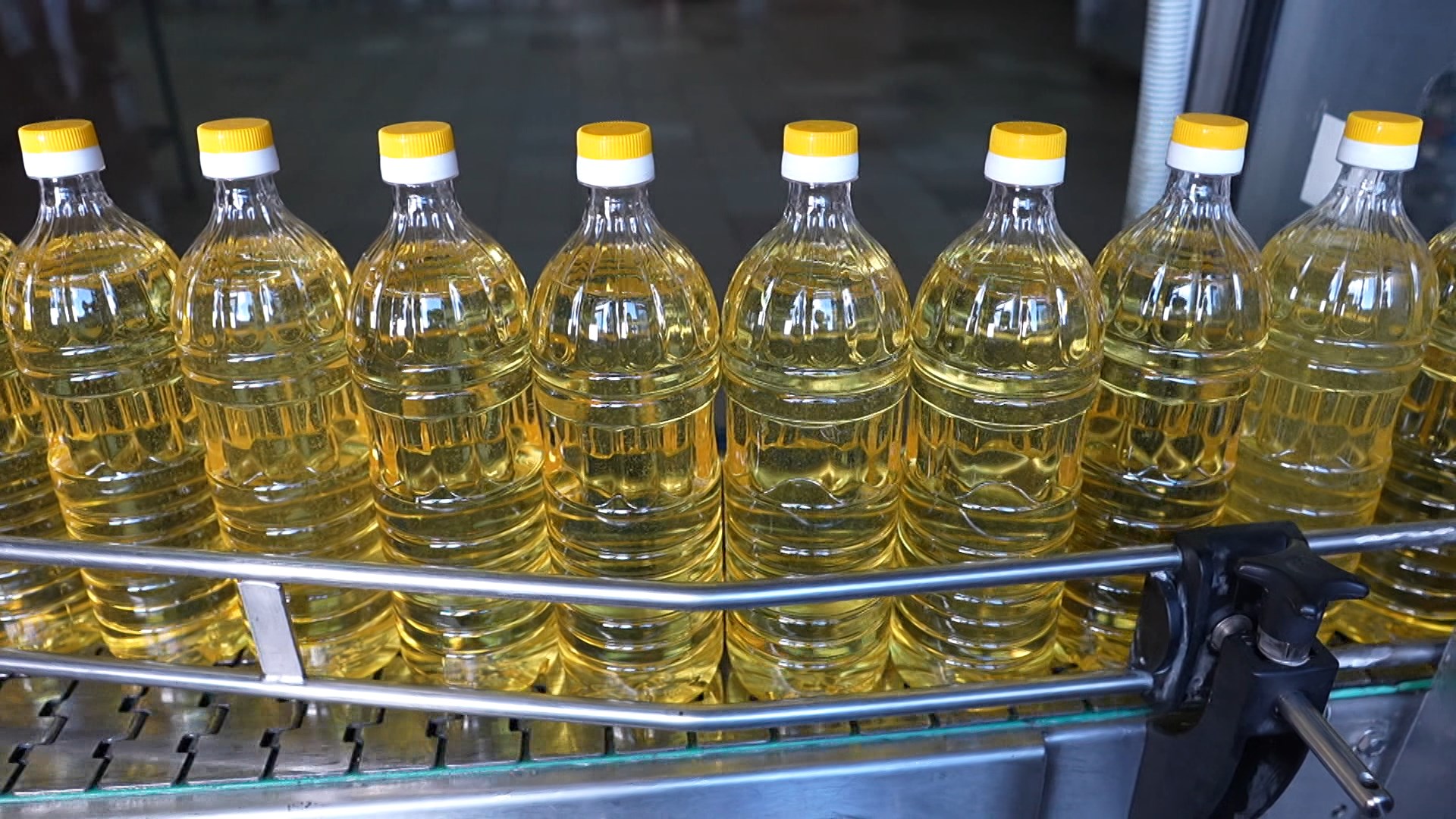 Бутылки с рапсовым маслом на конвейере