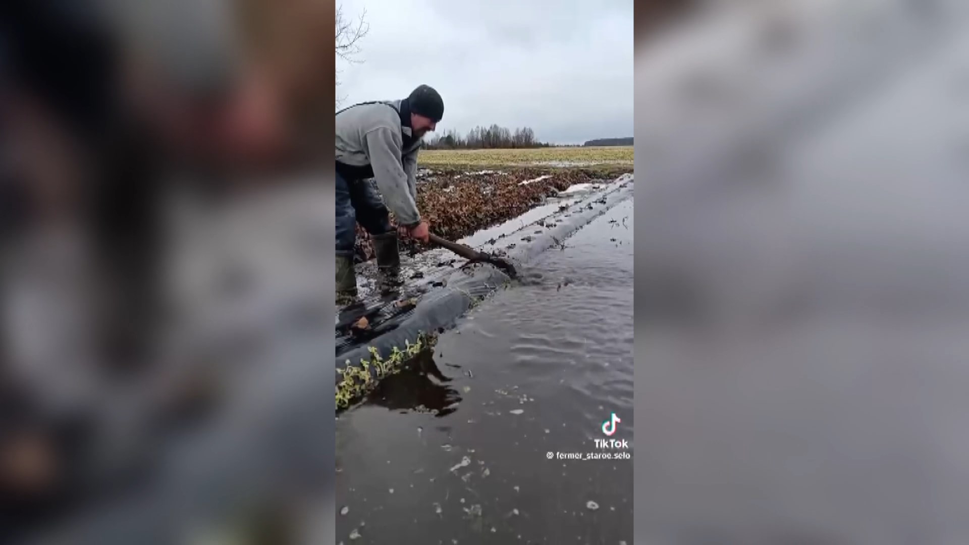 затопленная клубника