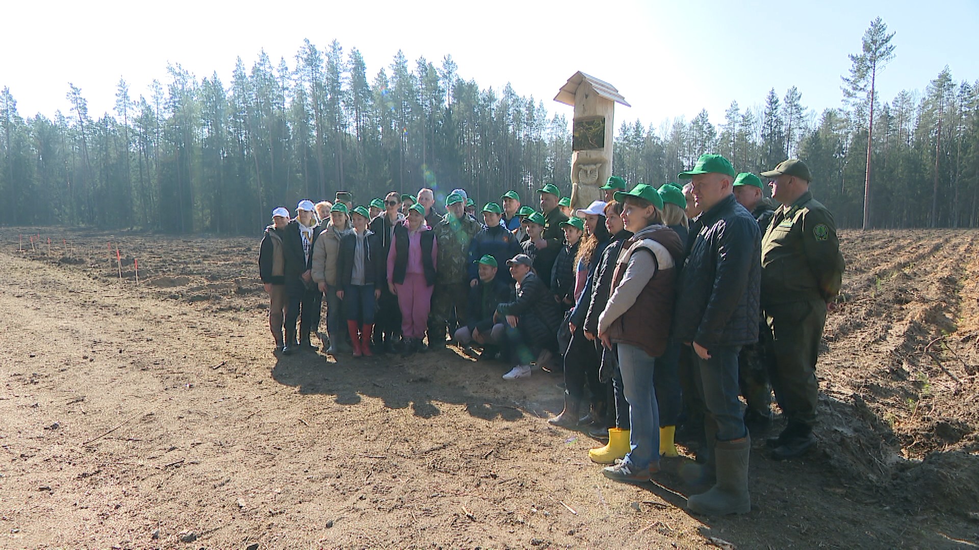 команда по посадке леса