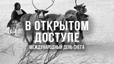 В открытом доступе | Международный день снега В открытом доступе | Международный день снега