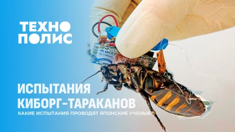 Технополис | Такси будущего в Лос-Анджелес | Испытания киборг-тараканов | Курсы взросления в Канаде Технополис | Такси будущего в Лос-Анджелес | Испытания киборг-тараканов | Курсы взросления в Канаде