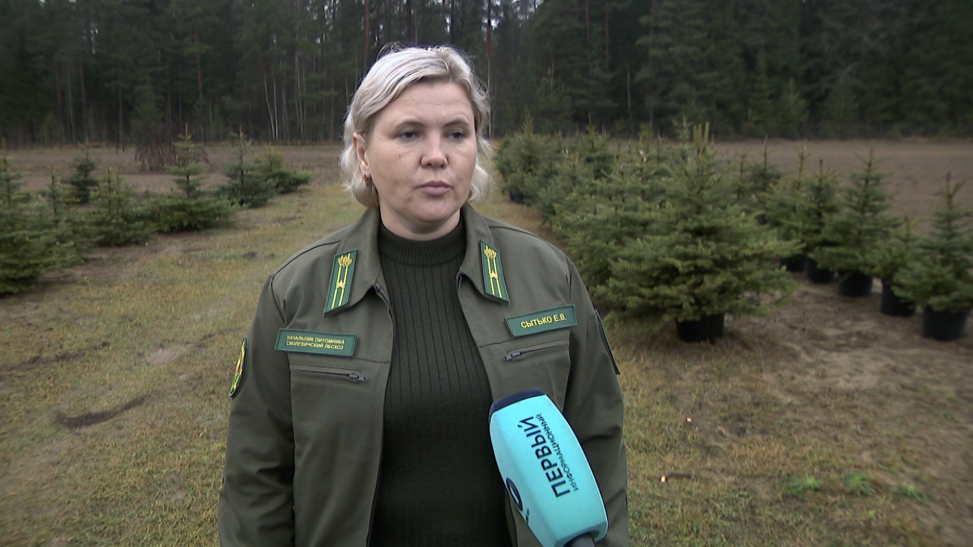 Елена Сытько, начальник питомника Смолевичского лесхоза