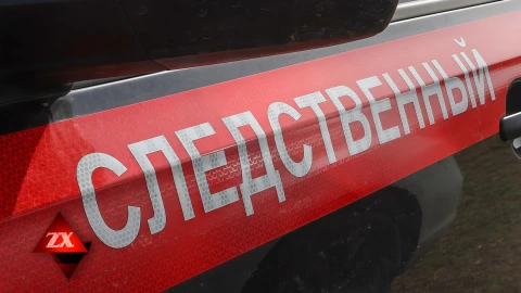Зона Х | В Костюковичском районе мужчина выстрелил в сына при забое кабана Зона Х | В Костюковичском районе мужчина выстрелил в сына при забое кабана