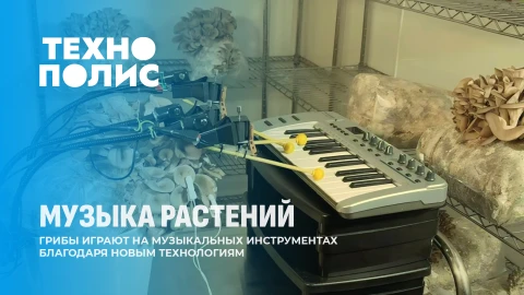 Экзоскелет для пианистов | Музыка грибов |Проблемы с рекламой Google |120 дней под водой Экзоскелет для пианистов | Музыка грибов |Проблемы с рекламой Google |120 дней под водой