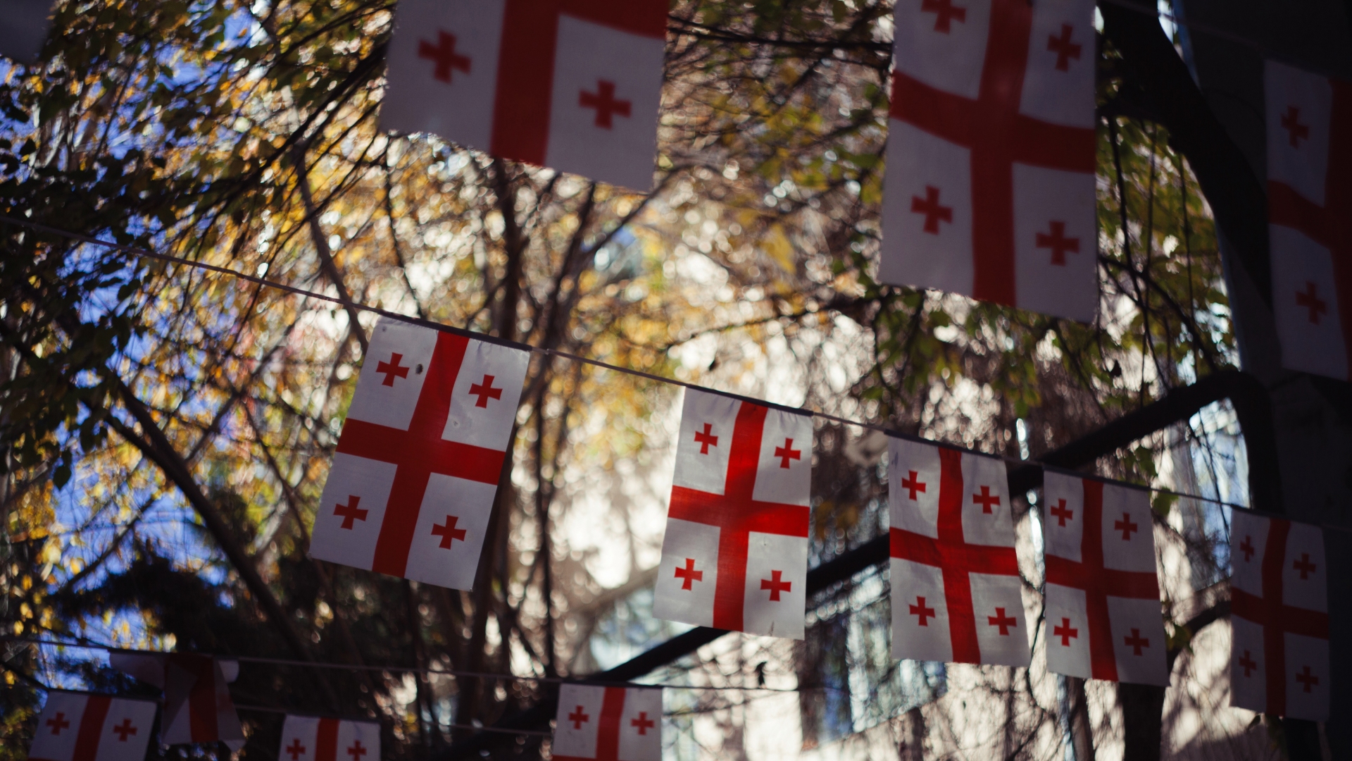 "Борется коллективный Запад" - Хидирбегишвили о сценарии дестабилизации в Грузии по образцу Беларуси "Борется коллективный Запад" - Хидирбегишвили о сценарии дестабилизации в Грузии по образцу Беларуси