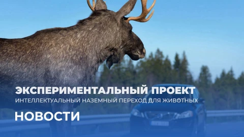 Новости 07:00 Новости 07:00