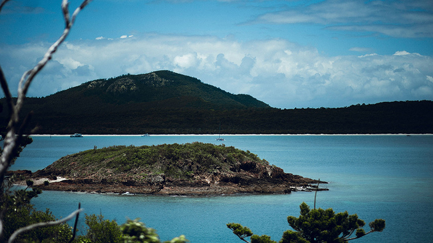 Пожилая туристка умерла на тропическом острове после того, как ее там оставил круизный лайнер Остров, окруженный водой