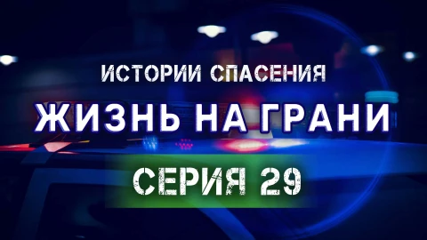 Истории спасения 01.09.2024 Истории спасения 01.09.2024