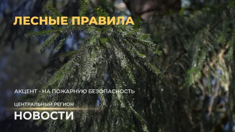 Новости. Центральный регион | Нужное людям | Мобильные маркеты | Лесные правила Новости. Центральный регион | Нужное людям | Мобильные маркеты | Лесные правила