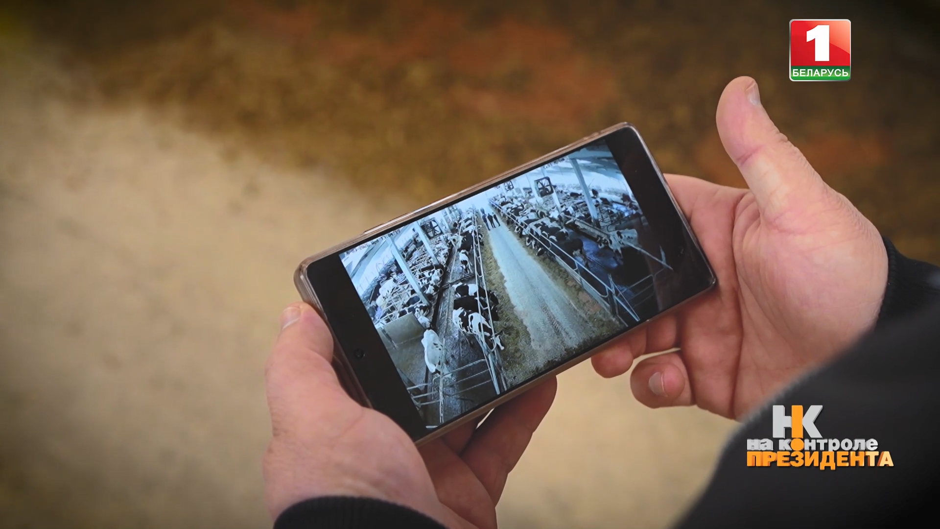 система видеонаблюдения в сельхозпредприятиях беларуси