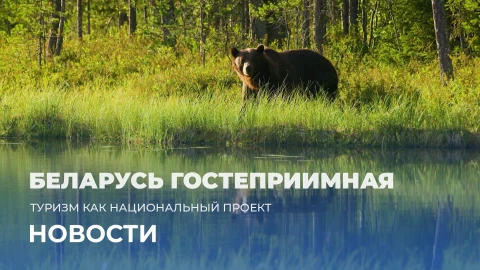 Новости 13:00 Новости 13:00