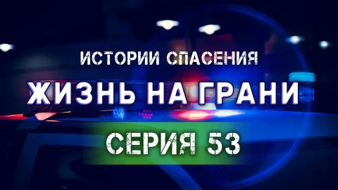 Истории спасения | 02.08.2025 Истории спасения | 02.08.2025