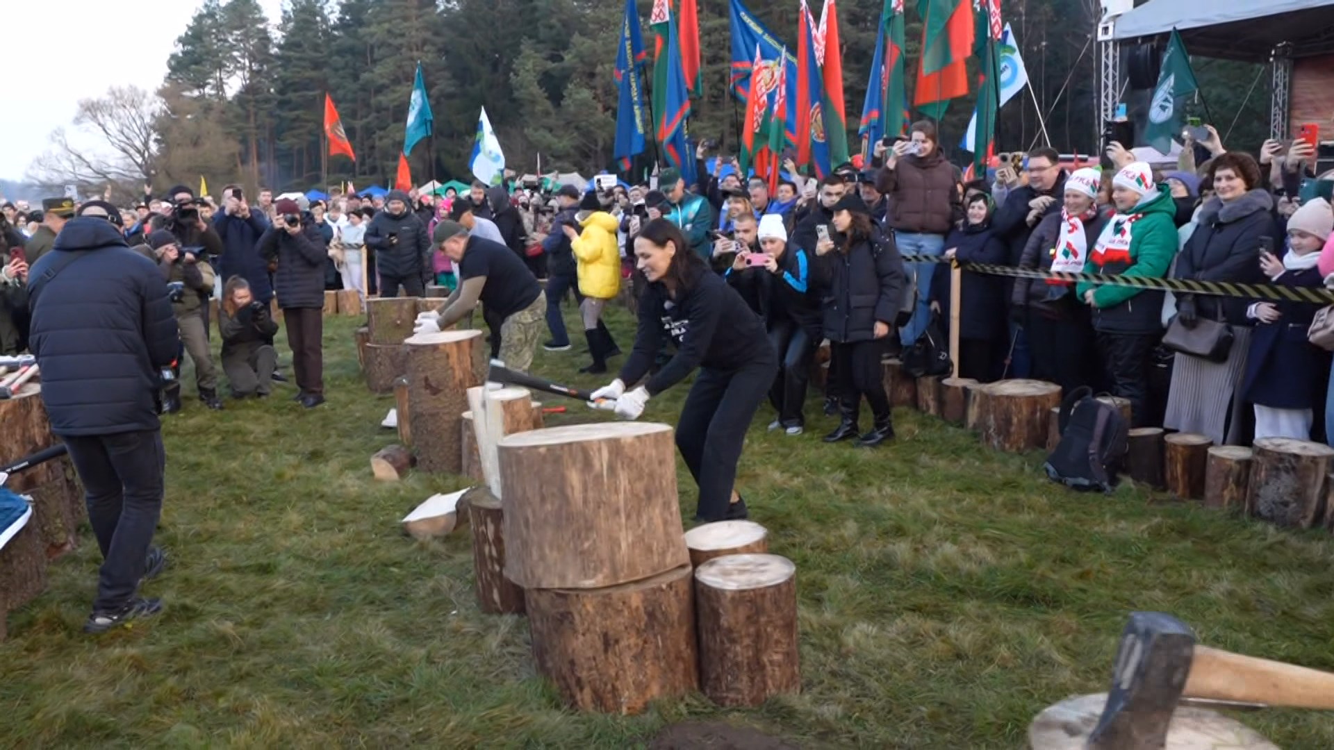 Эйсмонт рубит дрова