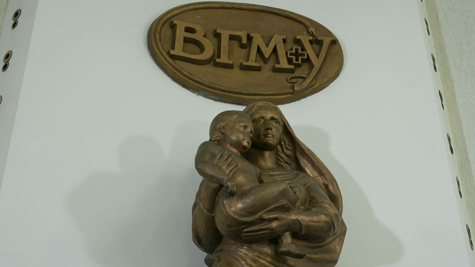 ВГМУ ВГМУ