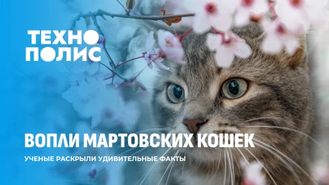 Технополис | Война руками нейросетей | Эмоции спасают людей от конца света | Песни мартовских котов Технополис | Война руками нейросетей | Эмоции спасают людей от конца света | Песни мартовских котов