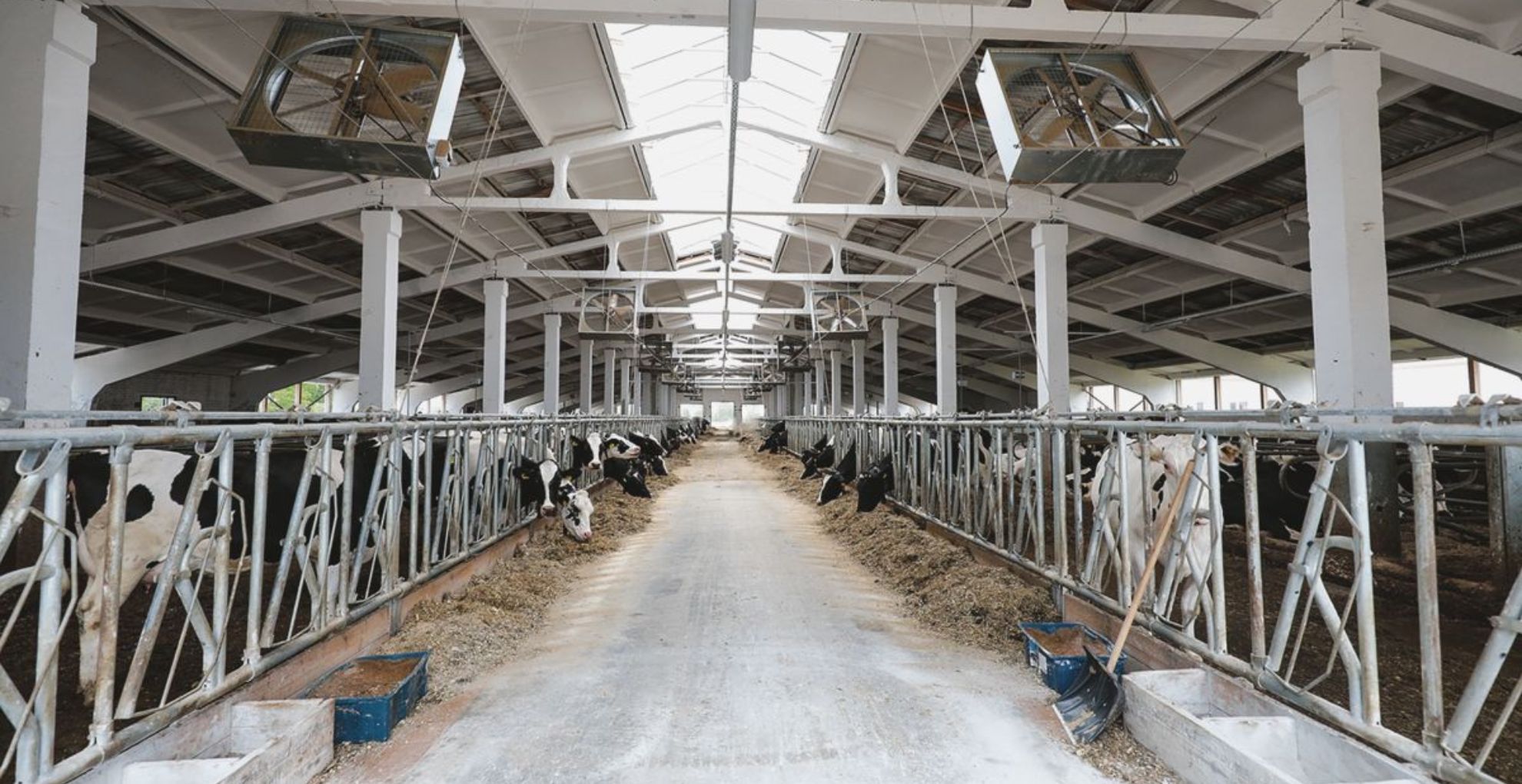 Лукашенко поставил задачу навести в 2026 году порядок на селе