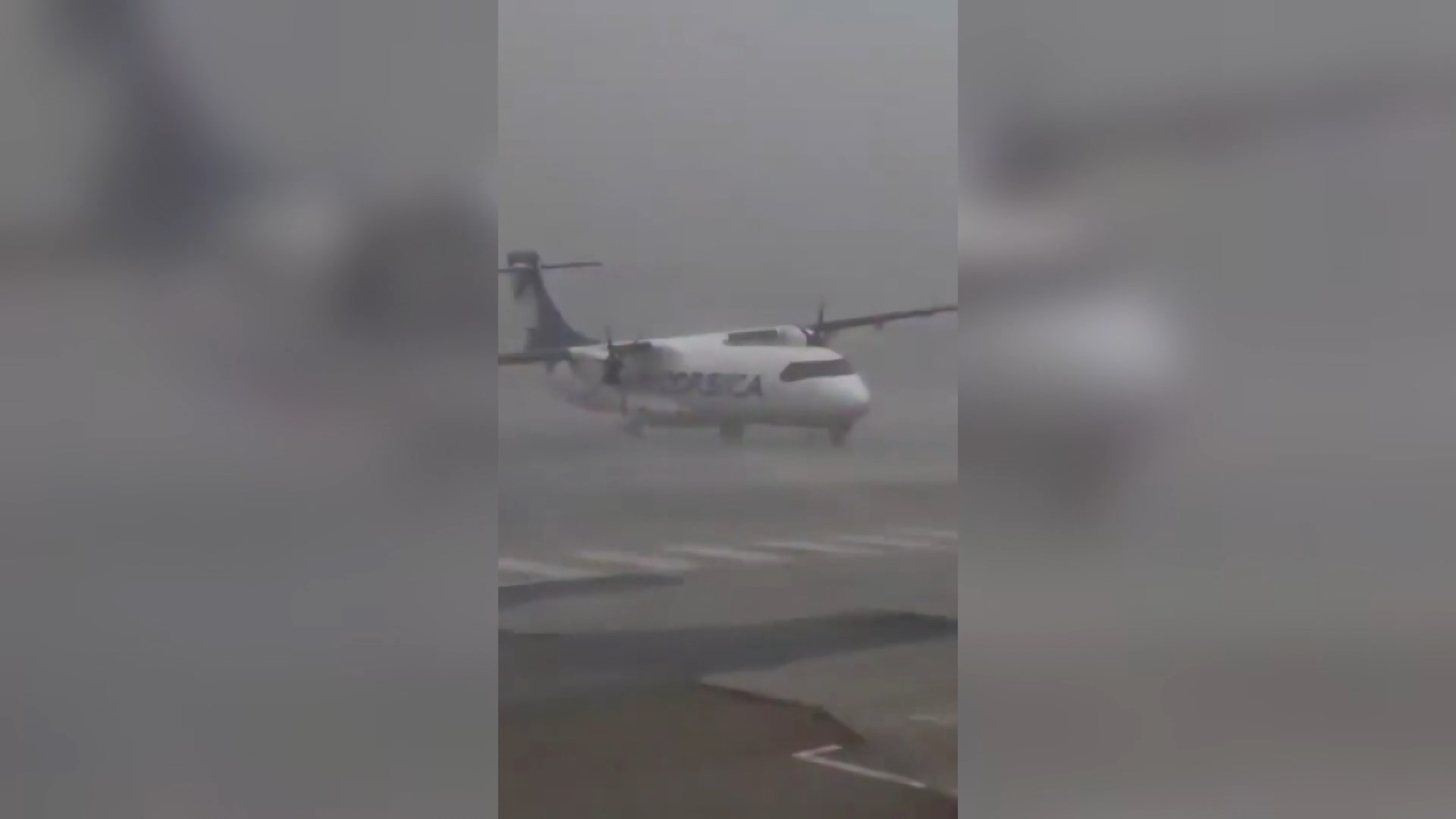 видео из Корсики