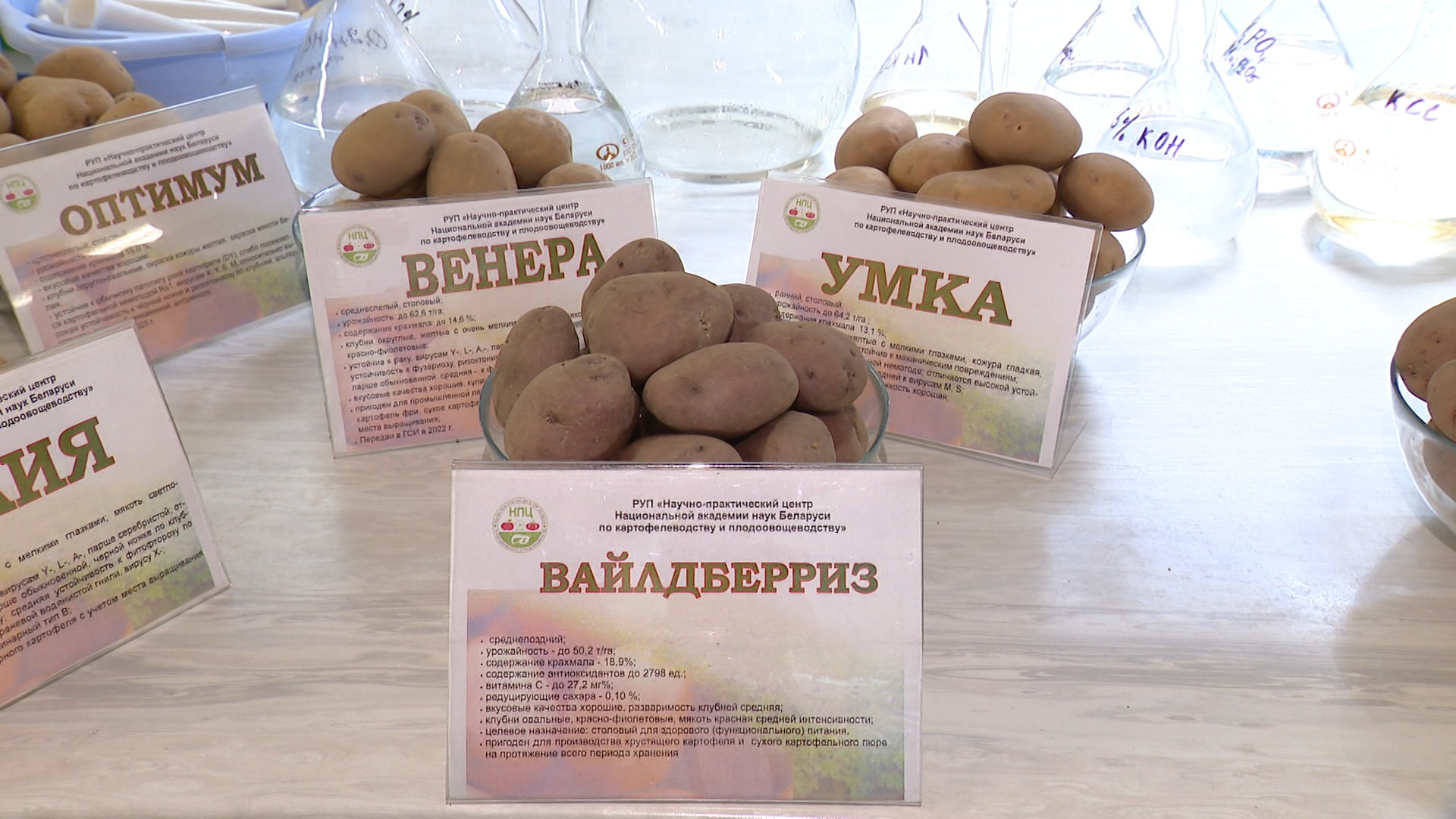картофель