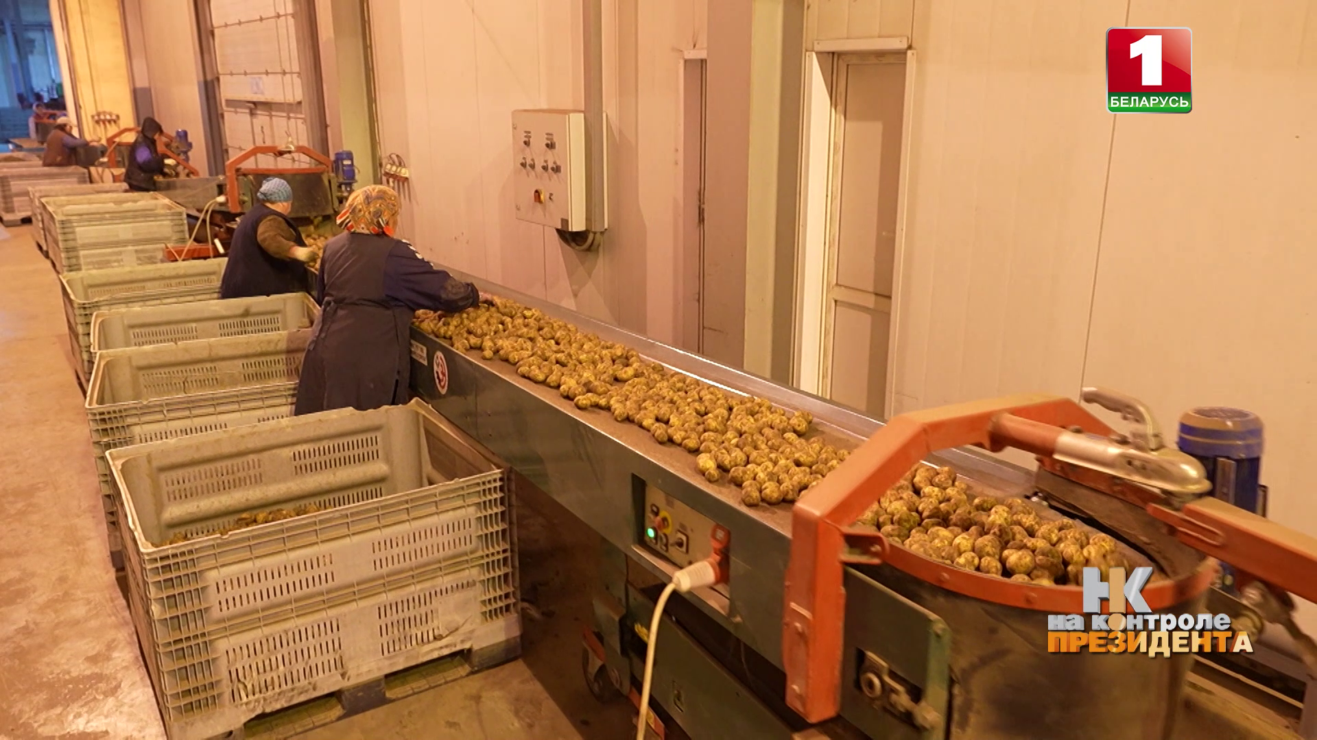 Беларусь, несмотря на сложный год, заполнила стабфонды и обеспечила продбезопасность