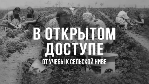 В открытом доступе | От учебы к сельской ниве В открытом доступе | От учебы к сельской ниве