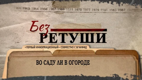 Без ретуши | Во саду ли в огороде Без ретуши | Во саду ли в огороде