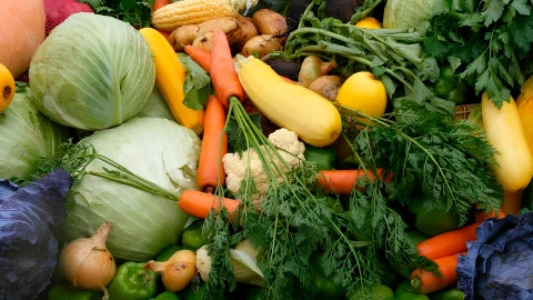 Сфера интересов | МАРТ установил максимальные цены на овощи и яблоки Сфера интересов | МАРТ установил максимальные цены на овощи и яблоки