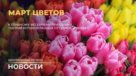 Новости. Центральный регион | Готовность техники | Инновации в образовании | Лесхозы-цветы Новости. Центральный регион | Готовность техники | Инновации в образовании | Лесхозы-цветы